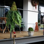 Unser Café - Herzlich Willkommen!